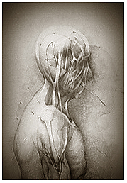 Julio Chávez Guerrero